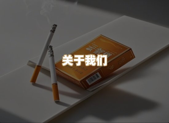 关于云歌烟网